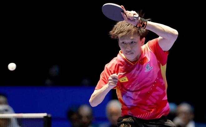 这无疑证明 这无疑证明